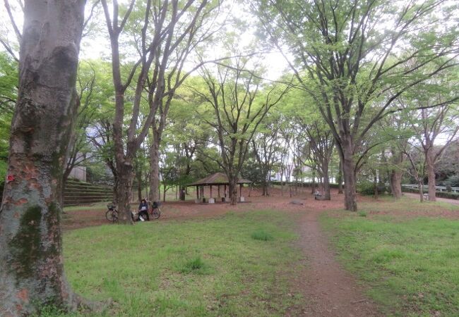 都立赤塚公園