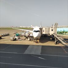飛行機