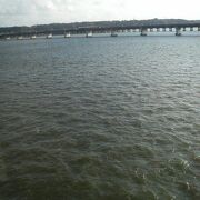 JR鹿島線で海の上を走ってる気分で渡れる橋