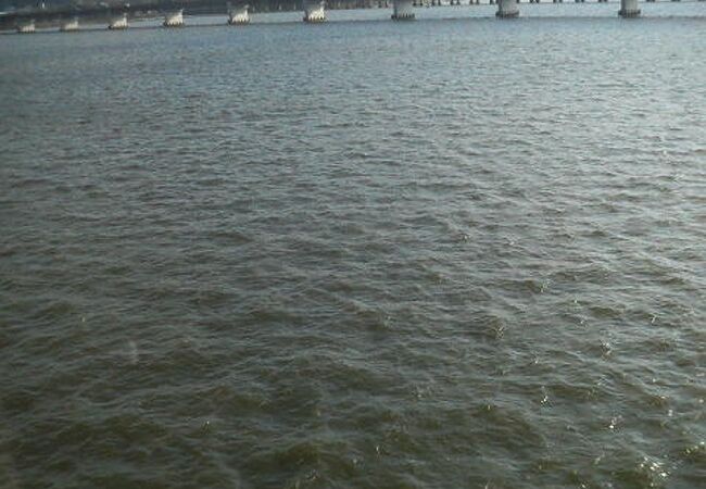 JR鹿島線で海の上を走ってる気分で渡れる橋