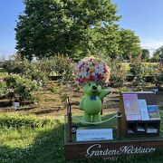 美しい芝生や薔薇が広がる公園