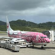 初、石垣島　ジンベイザメジェット