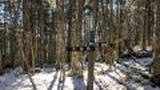 朝日峠経由で金峰山へ