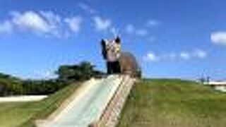 写真映えするやまねこ滑り台