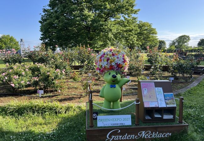 美しい芝生や薔薇が広がる公園