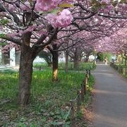 市民憩いの場・北海道大学