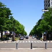 横浜公園から大さん橋へ向かう道