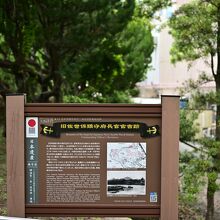 現地は少し寂しい