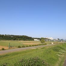 丸子橋