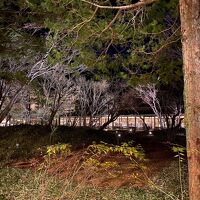 中庭からお食事何処を