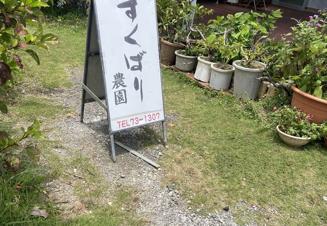 宮古島☆すくばりテラス　農園