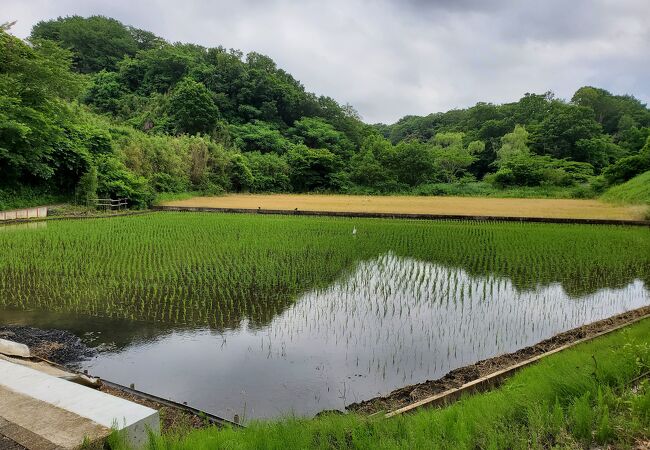 舞岡公園