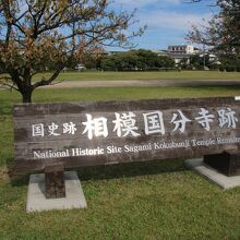 中央の公道沿いに国分寺跡の看板がありました