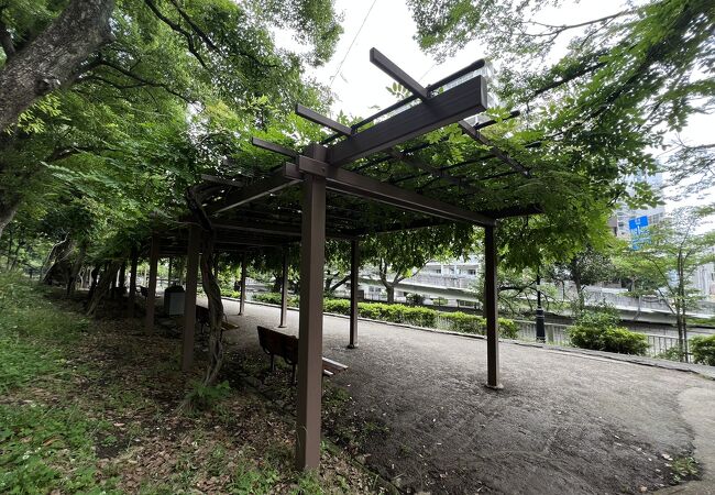 神田川なのに江戸川公園