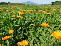 小貝川ふれあい公園