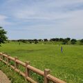 飛行機が見える公園