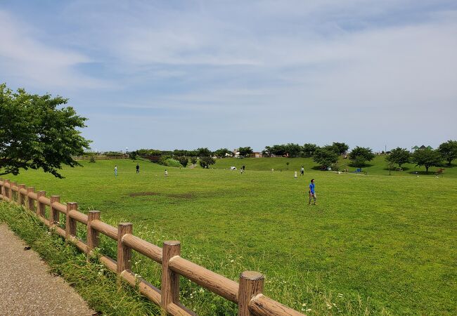 飛行機が見える公園