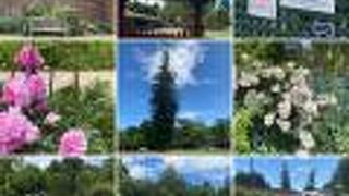 エリザベス F ギャンブル ガーデン