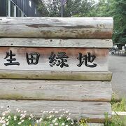 5月30日訪問アクセスも便利な自然豊かな生田緑地、花菖蒲見頃も近く綺麗でした