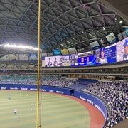 中日ドラゴンズを応援してきました