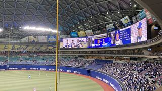 中日ドラゴンズを応援してきました
