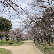 亀城公園