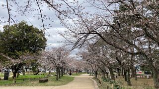 亀城公園