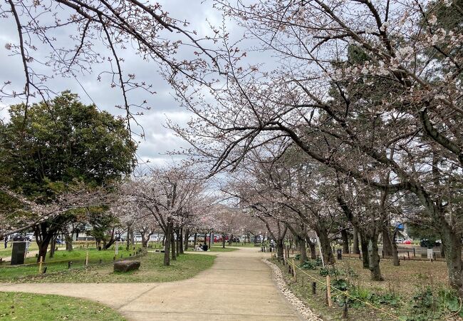 亀城公園