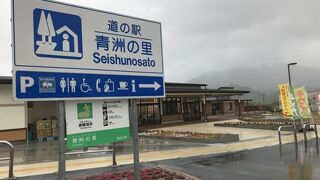 道の駅 青洲の里