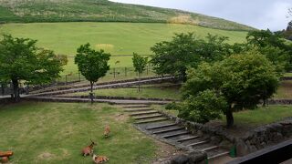 万葉時代からの名所
