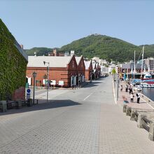 倉庫群の向こうには函館山が見える。