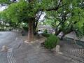 水門川 四季の広場