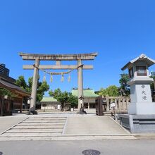 東向きなので日が傾いてからだと絵が整いません