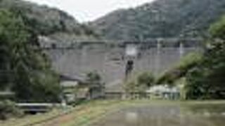 ダムの下流側にあって、サクラの花が少し残っていました