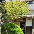 野口雨情生家・資料館