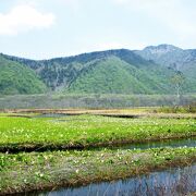 一番尾瀬らしい景色を眺めることができます