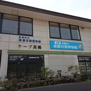 真鶴岬のお店です