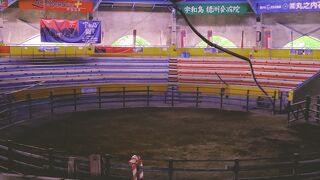 宇和島駅から徒歩で行ける闘牛場。
