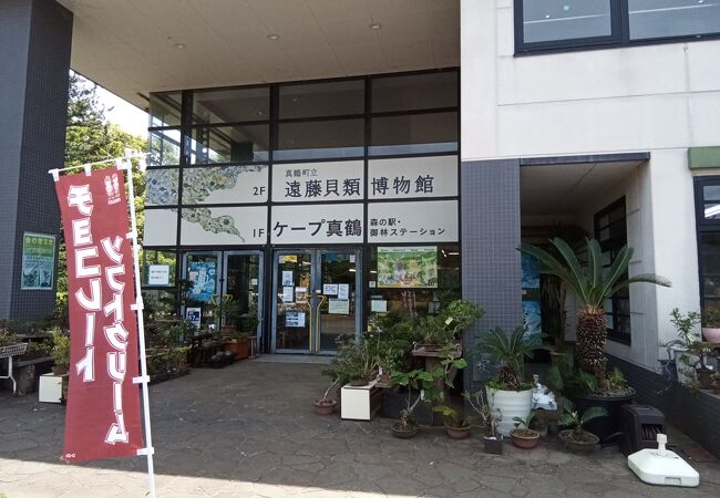 真鶴町立遠藤貝類博物館