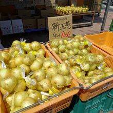 道の駅 東浦ターミナルパーク