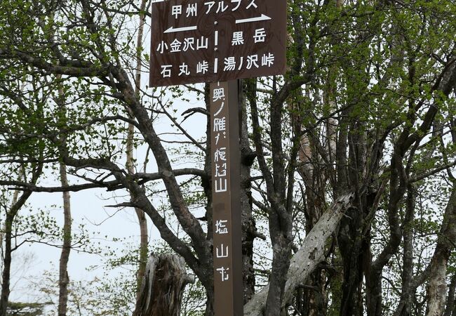 登りやすく眺望の良い山