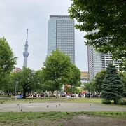 駅近の広大な区民の公園