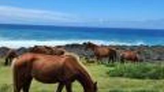 テキサスゲートを超えて