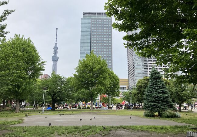 駅近の広大な区民の公園