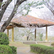 権現山公園