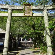 緑豊かな神社です。