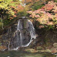 中野もみじ山