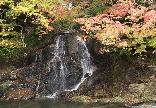 中野もみじ山