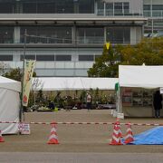 園芸市のようなイベント開催中でした