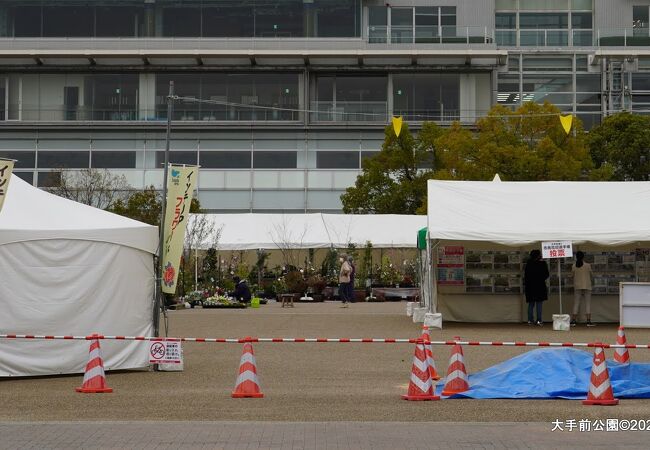 園芸市のようなイベント開催中でした